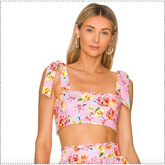 AGUA BENDITA Revolve Pink Floral Rhea Smocked Feminine Girly Crop Top Size XS - Picture 1 of 6